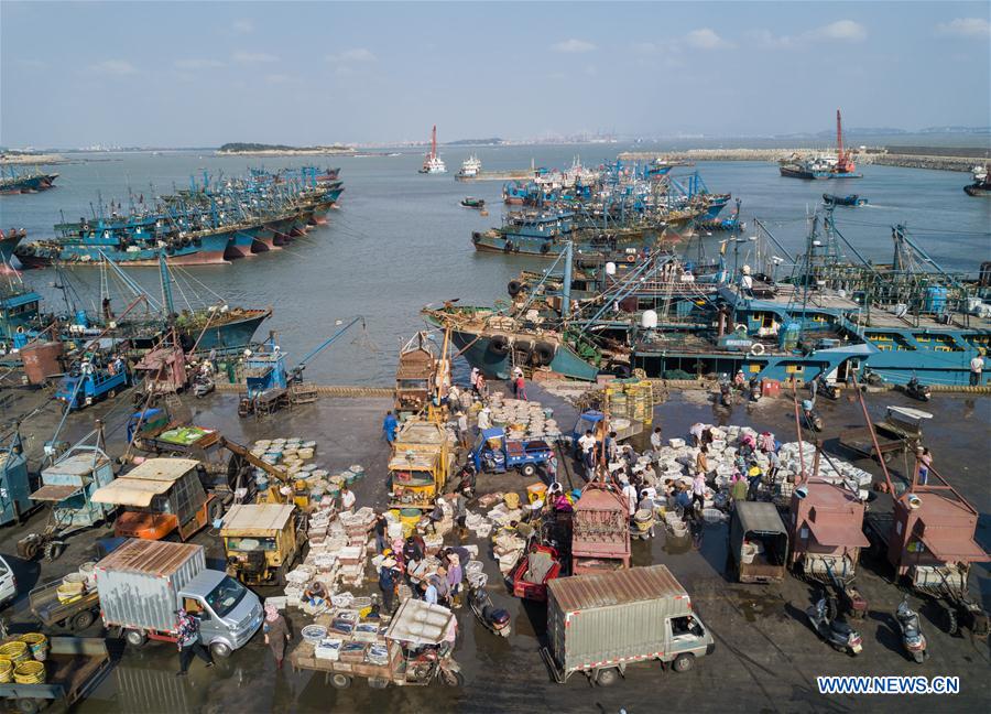 CHINA-FUJIAN-SHISHI-FISHING (CN)