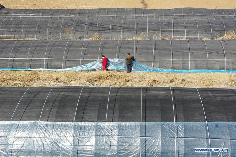 #CHINA-SPRING-FARMING (CN)