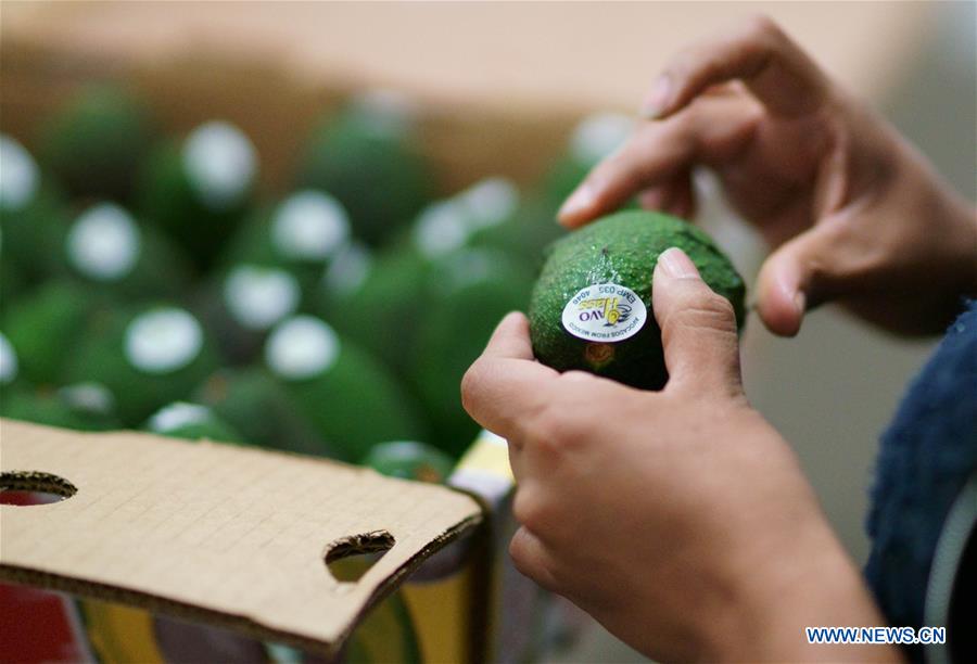 BELT AND ROAD-FOOD-CONNECTION