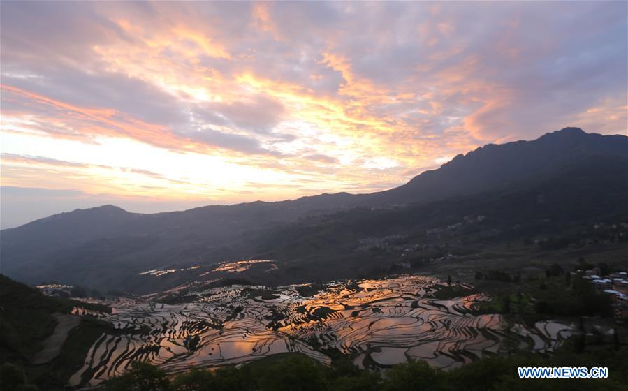 #CHINA-YUNNAN-TERRACED FIELD-SCENERY (CN)