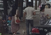 組圖：天天秀恩愛！范冰冰李晨甜蜜遛狗引圍觀