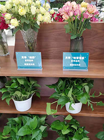 科技保障農(nóng)產(chǎn)品安全與營(yíng)養(yǎng) 中國(guó)農(nóng)科院第三屆農(nóng)科開放日在京啟動(dòng)