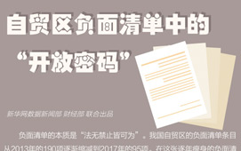 自貿(mào)區(qū)負(fù)面清單中的&ldquo;開放密碼&rdquo;