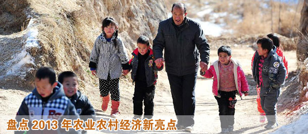 盤點2013年農業(yè)農村經濟新亮點