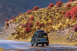 天微涼葉漸黃，最美風(fēng)景是家鄉(xiāng)