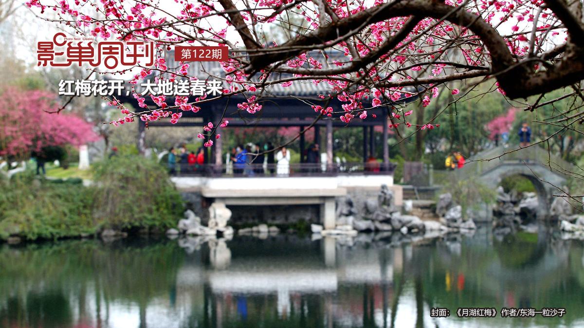 【影巢周刊】紅梅花開，大地送春來(lái)