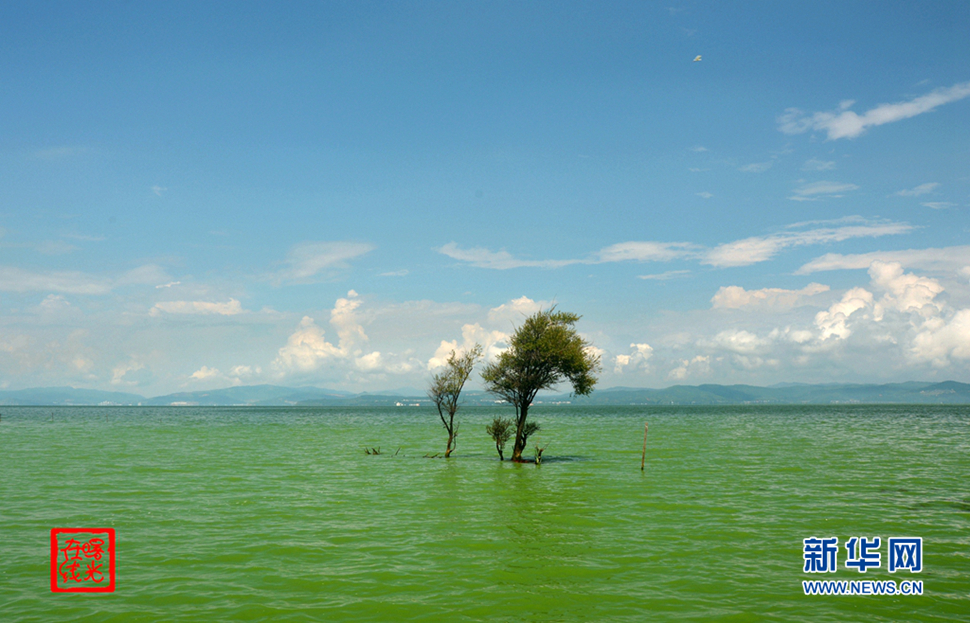 陽光昆明，爽爽的春城