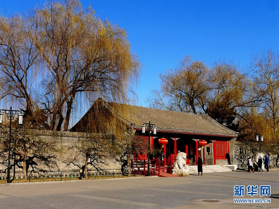 冬至，漫步大觀園