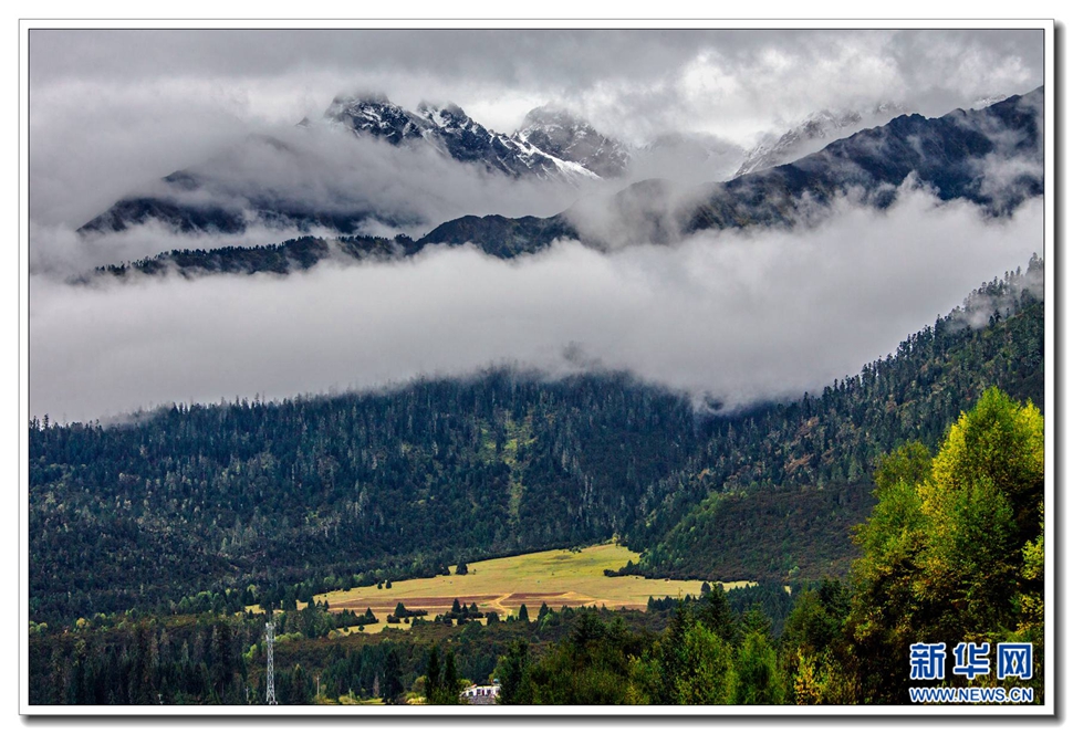 魯朗林海入畫(huà)游