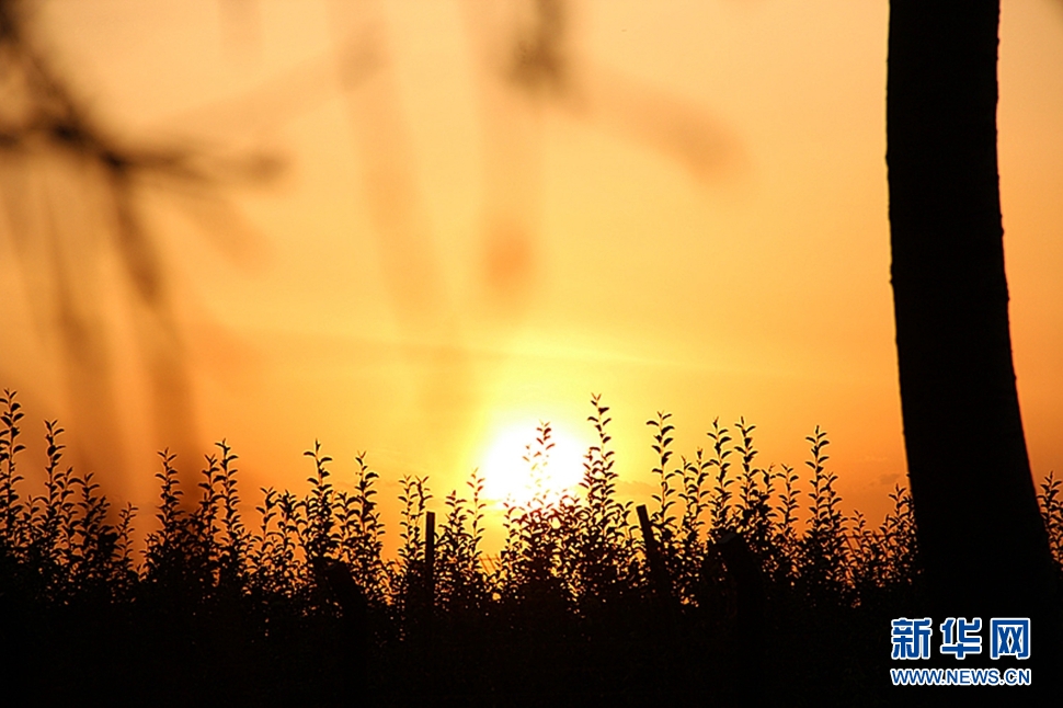 日落西山頭，人約黃昏后