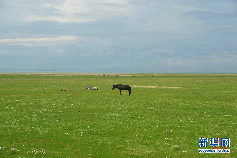 高原放歌之那山、那寺、那朵云