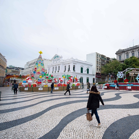 一飛沖天 一鳴驚人&mdash;&mdash;粵港澳大灣區(qū)建設(shè)的澳門方向