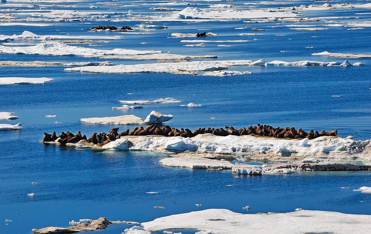 新千年前夜，我在北極感悟“新大陸”