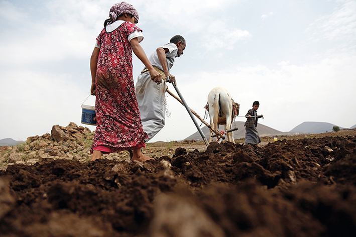 堅守中的希望：戰(zhàn)亂中也門人的日常
