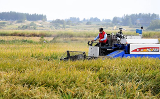 40年，小崗人的18個(gè)&ldquo;第一次&rdquo;