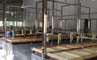 新春走基層丨機關(guān)青年如何變身&ldquo;草帽書記&rdquo;