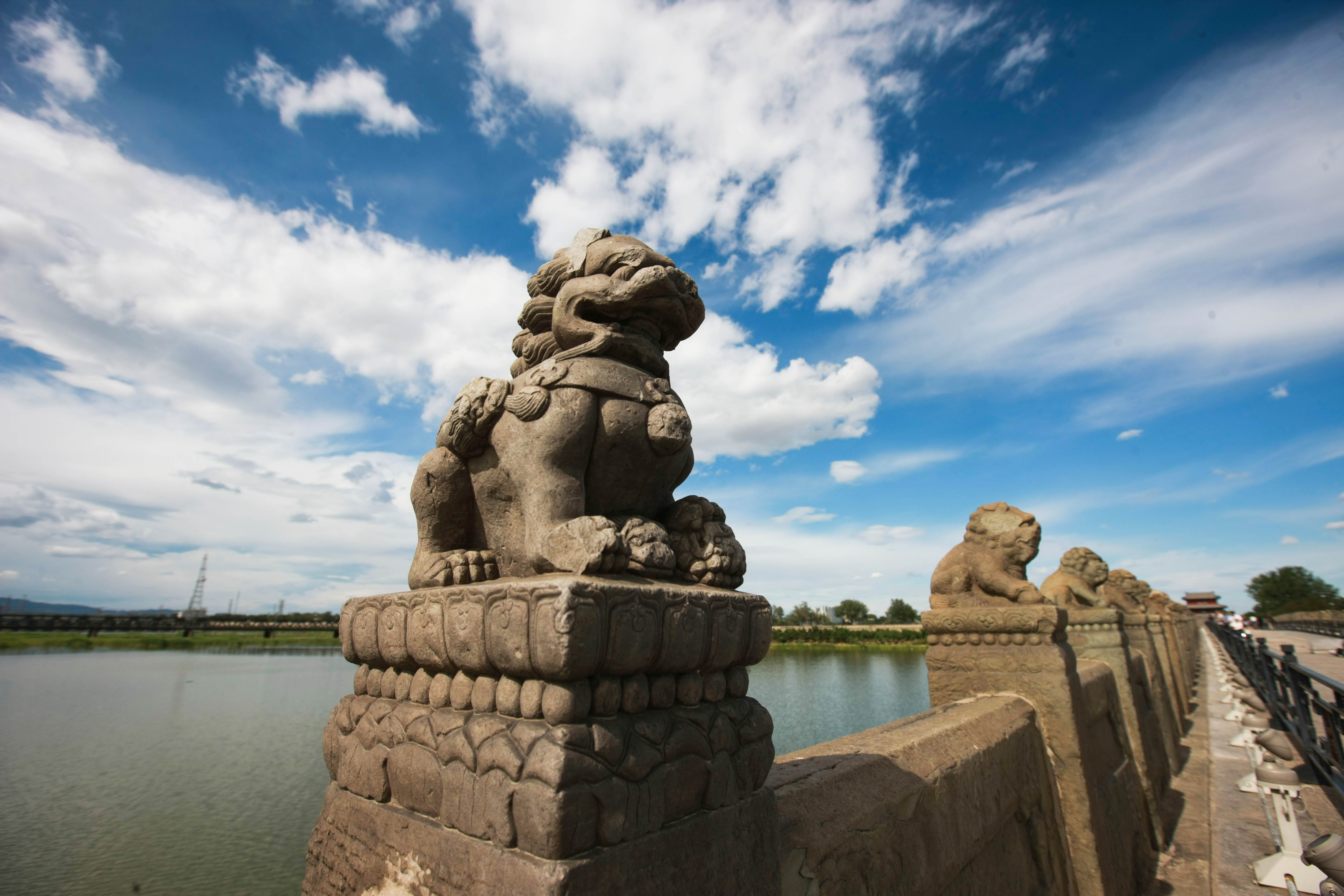 這些照片，來之不易