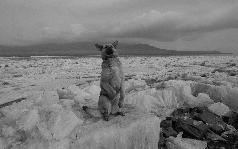 線云強(qiáng)作品:東方第一哨，最早迎接太陽(yáng)的士兵