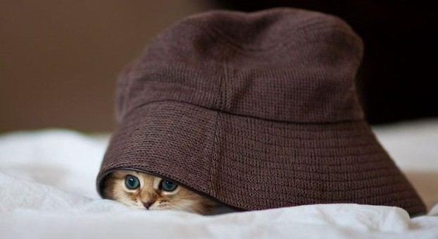 老外搞怪！facebook插圖欣賞(組圖)