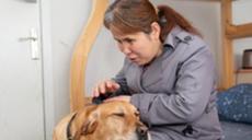 &ldquo;有你在身旁，真好&rdquo;