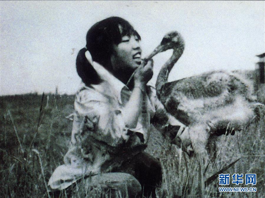 （圖文互動&middot;新華全媒頭條）（2）一家人與一群鶴的生死相守