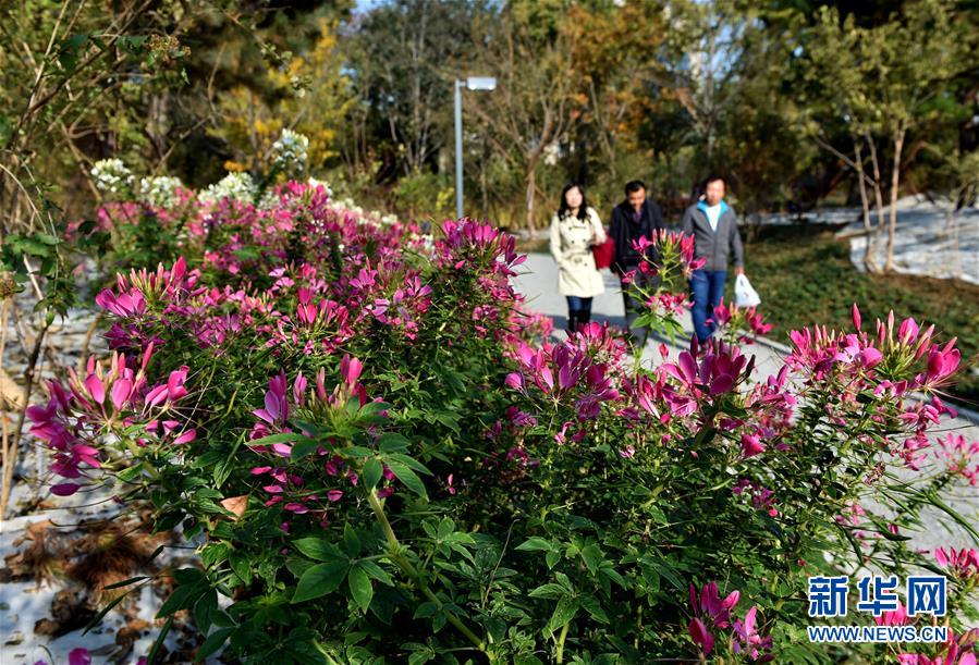 （圖文互動）（1）藍天白云講述北京新時代新故事&mdash;&mdash;北京站上新時代發(fā)展新起點