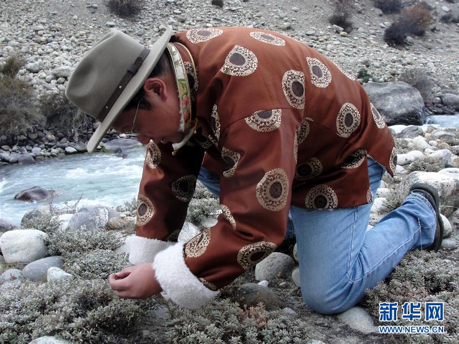 （新華全媒頭條&middot;圖文互動(dòng)）（2）一顆種子的答案&mdash;&mdash;雪域高原播種者鐘揚(yáng)的&ldquo;精神珠峰&rdquo;