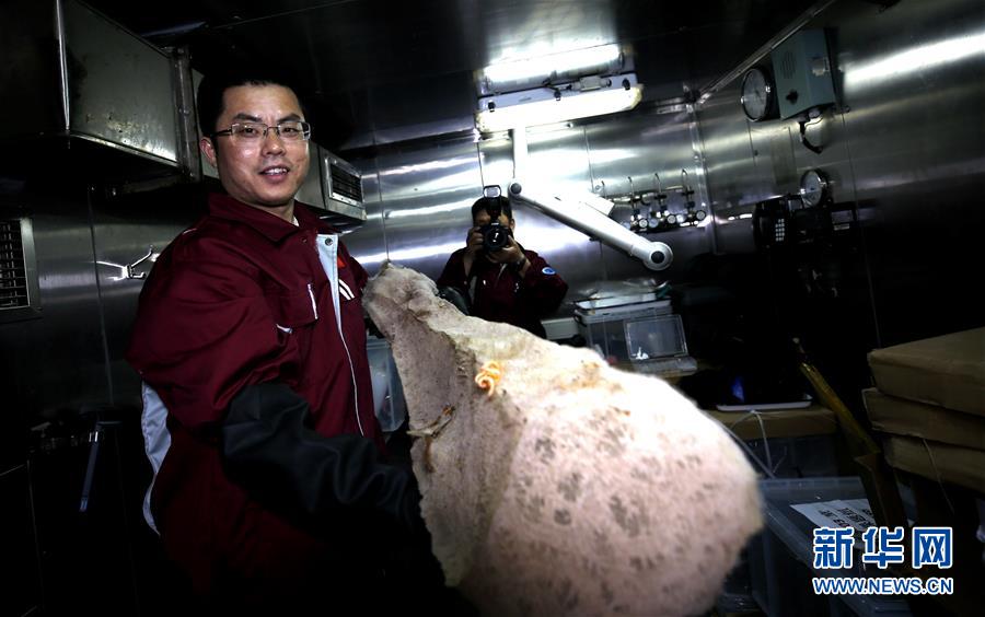 (圖文互動(dòng))(6)“科學(xué)”號在麥哲倫海山展開綜合調(diào)查