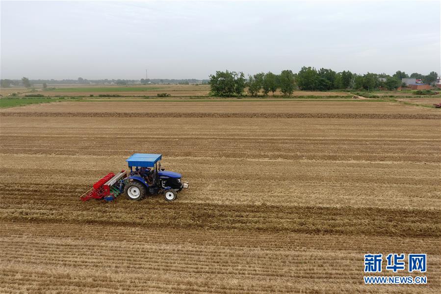 （經(jīng)濟）（2）搶抓農(nóng)時夏種忙