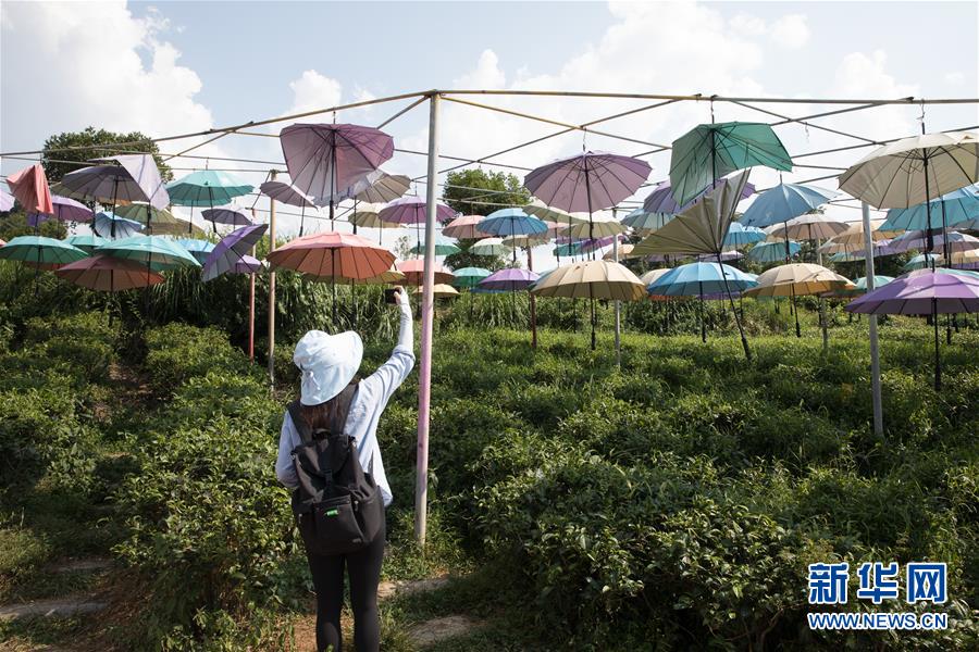 （大江奔流&mdash;&mdash;來自長江經(jīng)濟(jì)帶的報(bào)道&middot;圖文互動(dòng)）（4）在這里，做一個(gè)幸福的農(nóng)民