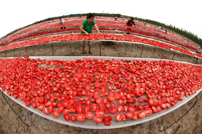 秋收的中國，你想象不到的美！但更美的是&hellip;&hellip;