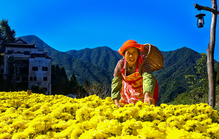 秋收的中國，你想象不到的美！但更美的是&hellip;&hellip;