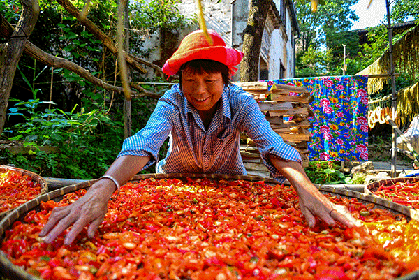 秋收的中國，你想象不到的美！但更美的是&hellip;&hellip;