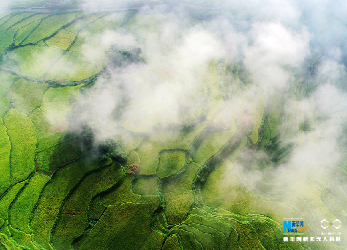 秋收的中國，你想象不到的美！但更美的是&hellip;&hellip;