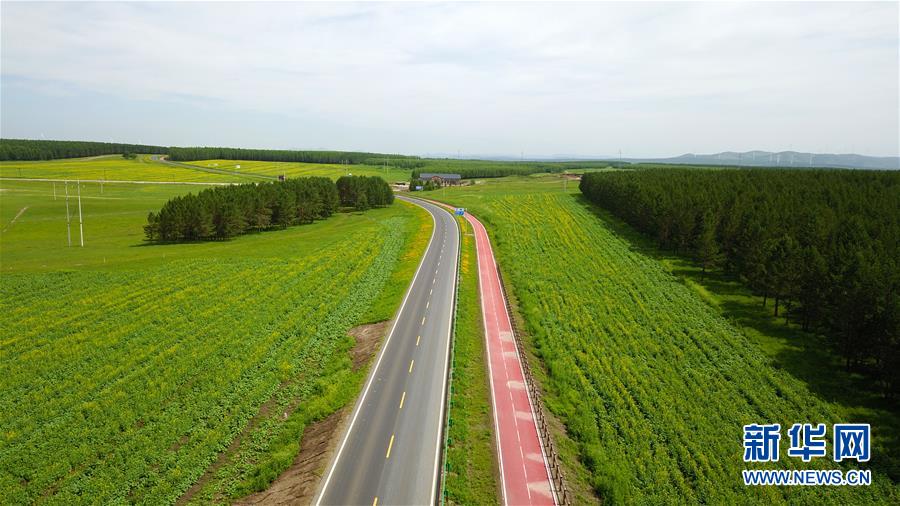 （新華全媒頭條&middot;圖文互動）（4）那一抹綠色，走進越來越多人心里&mdash;&mdash;河北塞罕壩續(xù)寫新時代綠色傳奇