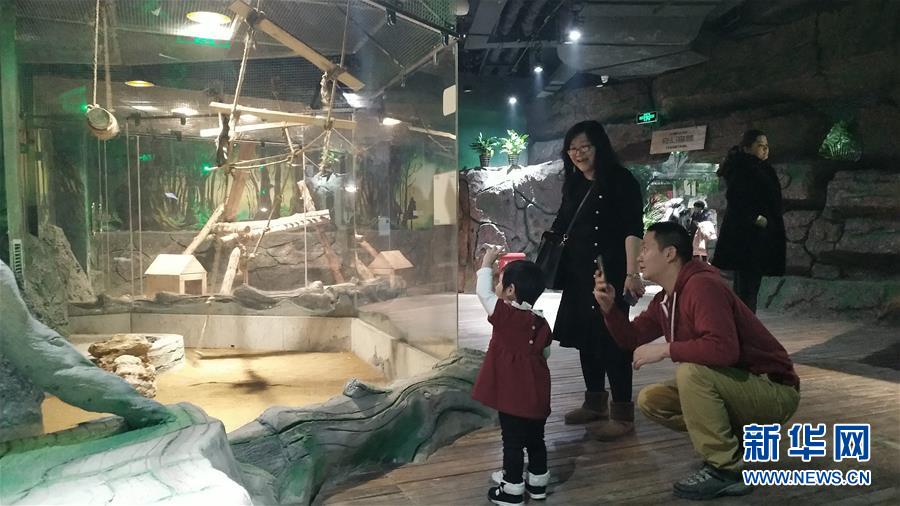 （新春走基層&middot;圖文互動(dòng)）（1）新疆&ldquo;新年俗&rdquo;：動(dòng)物王國(guó)學(xué)知識(shí) 冰雪世界強(qiáng)身體