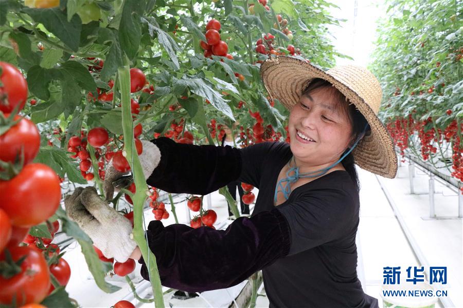 （兩會(huì)前夕看落實(shí)&middot;圖文互動(dòng)）（8）奮力脫貧攻堅(jiān) 生態(tài)追&ldquo;清&rdquo;逐&ldquo;綠&rdquo;&mdash;&mdash;江西落實(shí)習(xí)近平總書記全國(guó)兩會(huì)重要講話精神紀(jì)實(shí)