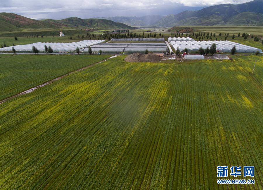 （兩會(huì)前夕看落實(shí)&middot;圖文互動(dòng)）（6）&ldquo;飛針走線&rdquo;&ldquo;繡&rdquo;出小康畫卷&mdash;&mdash;四川落實(shí)習(xí)近平總書記全國(guó)兩會(huì)重要講話精神紀(jì)實(shí)