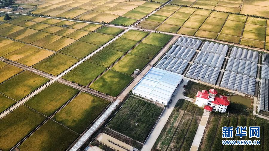 （新華全媒頭條&middot;愛國(guó)情 奮斗者&middot;圖文互動(dòng)）（8）一個(gè)村的奮斗，一個(gè)時(shí)代的巨變&mdash;&mdash;記敢&ldquo;蹚新路&rdquo;的小崗人