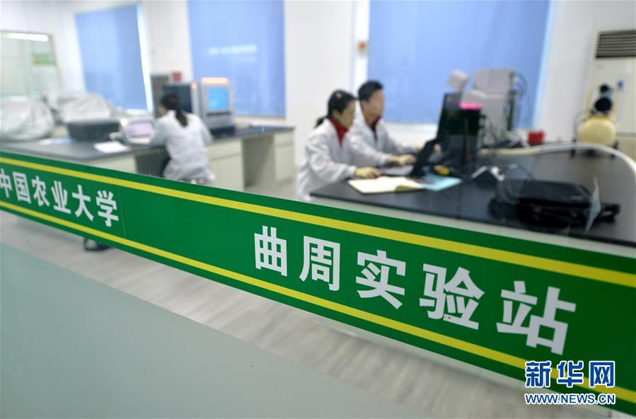 （愛國情 奮斗者&middot;圖文互動）（3） &ldquo;解民生之多艱，育天下之英才&rdquo;&mdash;&mdash;中國農(nóng)大師生扎根田野書寫奉獻之歌