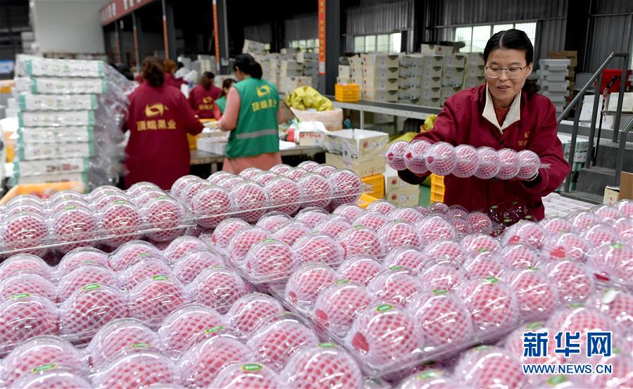 （新華全媒頭條&middot;圖文互動）（2）追夢在新時代的春天里&mdash;&mdash;革命圣地延安告別絕對貧困巡禮