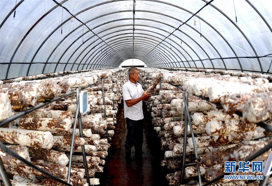 （新華全媒頭條&middot;圖文互動）（10）一個傳統(tǒng)農(nóng)業(yè)縣的脫貧之路&mdash;&mdash;來自河北新河的調查報告