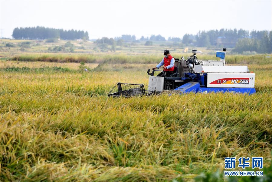 (壯麗70年·奮斗新時(shí)代——共和國(guó)發(fā)展成就巡禮·圖文互動(dòng))(3)安徽70年:改革創(chuàng)新書(shū)寫(xiě)時(shí)代答卷