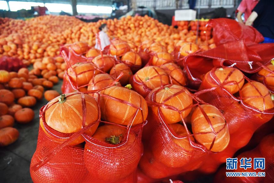 （壯麗70年&middot;奮斗新時代&mdash;&mdash;共和國發(fā)展成就巡禮）（6）看今朝齊風魯韻　七十載芳華正勁&mdash;&mdash;新中國成立以來山東領(lǐng)先發(fā)展紀實