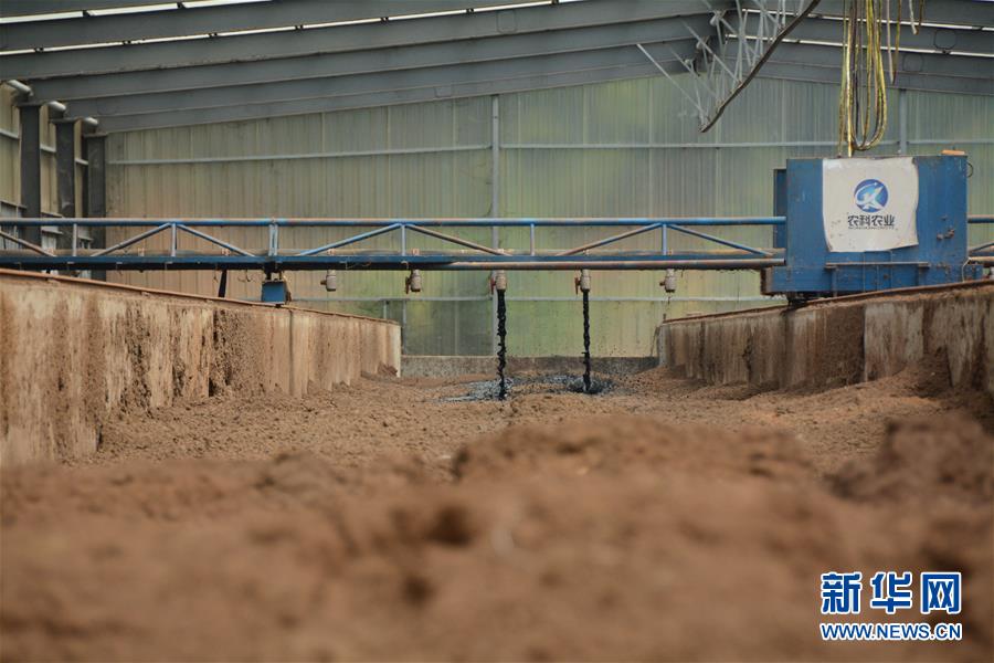 （在習(xí)近平新時代中國特色社會主義思想指引下&mdash;&mdash;新時代新作為新篇章&middot;總書記關(guān)心的百姓身邊事&middot;圖文互動）（5）大污染變身&ldquo;大寶藏&rdquo;：治理畜禽糞污，他們這樣干！