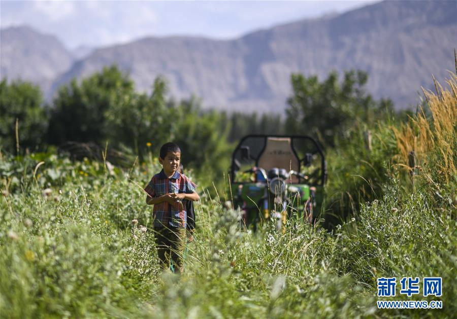(決戰(zhàn)決勝脫貧攻堅·圖文互動)(5)記者手記:尋訪昆侖“桃花源”的“祛病”良方