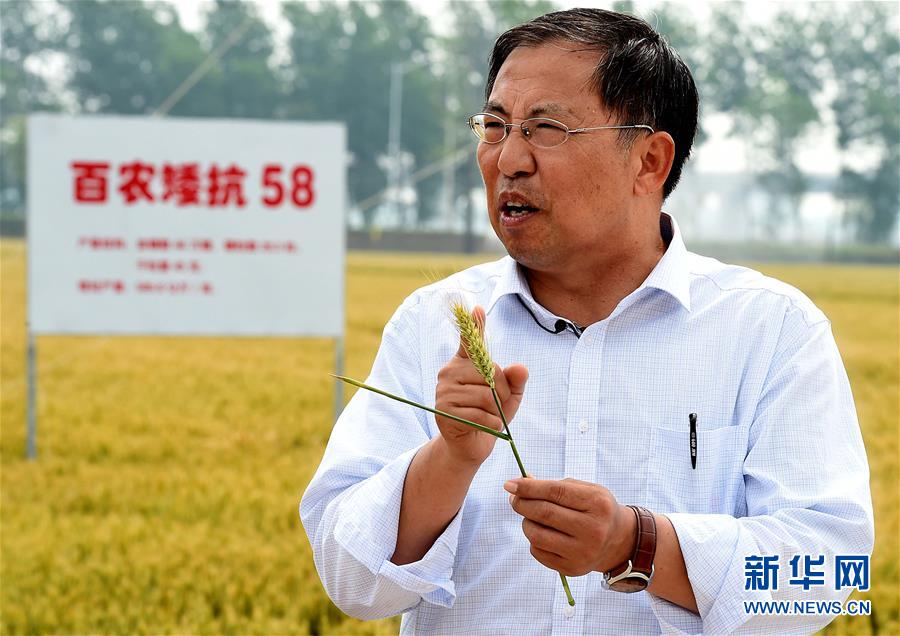 （新華全媒頭條&middot;圖文互動）（15）大國糧倉的新時代交響&mdash;&mdash;河南農(nóng)業(yè)70年觀察