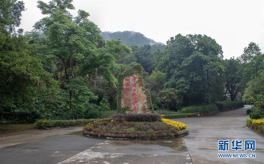 （圖文互動）（1）科學(xué)接續(xù)保護 守住生態(tài)紅線&mdash;&mdash;探訪&ldquo;北回歸沙漠帶上的綠色明珠&rdquo;