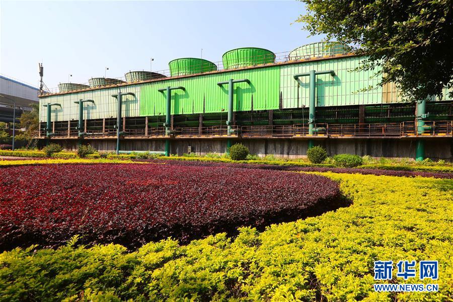 （新華全媒頭條&middot;四中全會精神在基層&middot;圖文互動）（4）&ldquo;活優(yōu)富美&rdquo;&mdash;&mdash;八閩大地感受&ldquo;中國之治&rdquo;的生動樣本