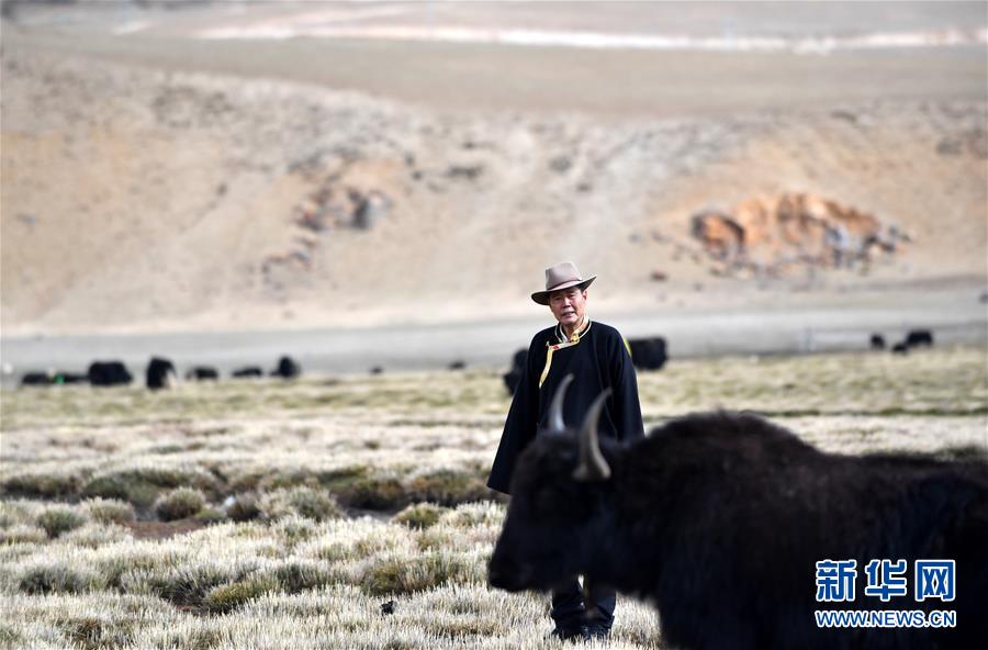 (新華全媒頭條·圖文互動(dòng))(1)“老牦牛”亞格博的西藏情緣——記北京援藏干部吳雨初